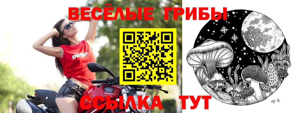 Георгиевск  купить наркоту  Вход с VPN  Псилоцибиновые грибы мухоморы 